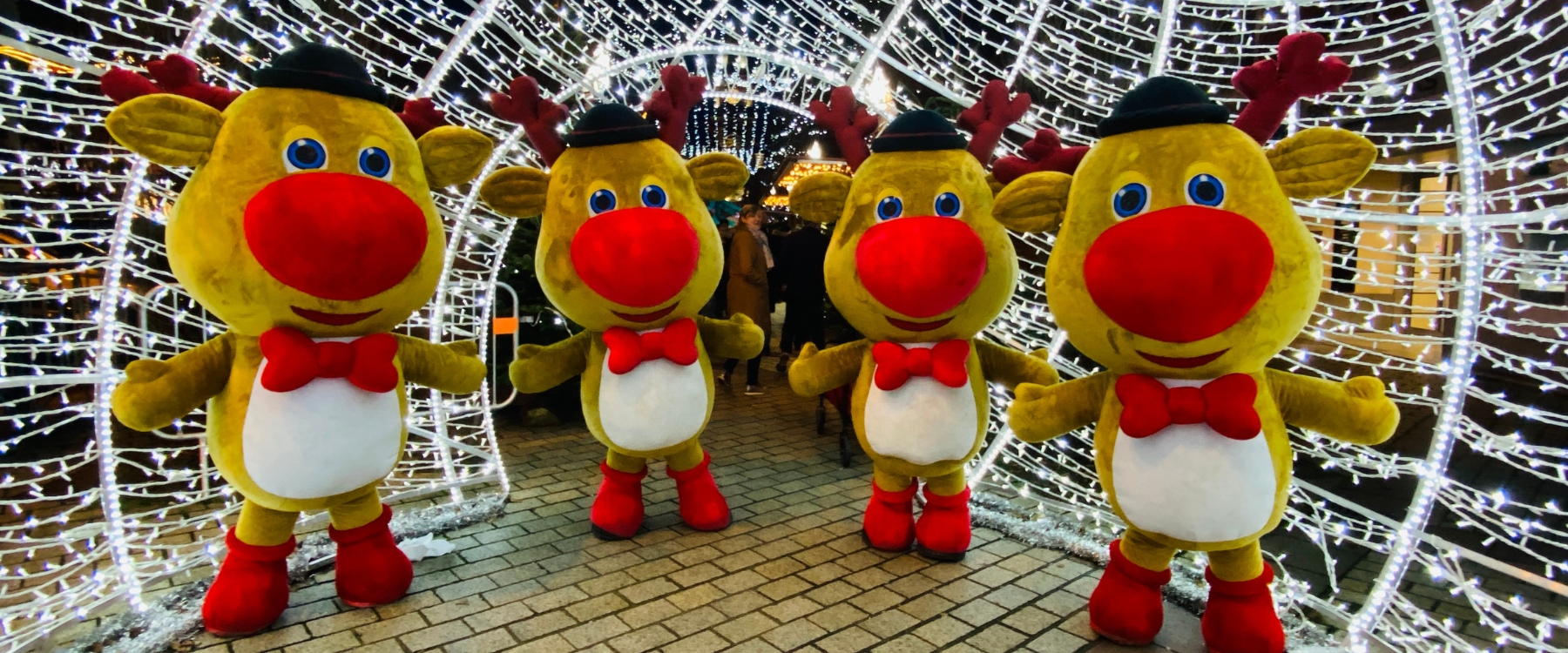 Découvrez les Rennes Humoristiques, une déambulation Noël attachante avec 4 rennes et un lutin espiègle. Bonne humeur et magie pour tous les événements.